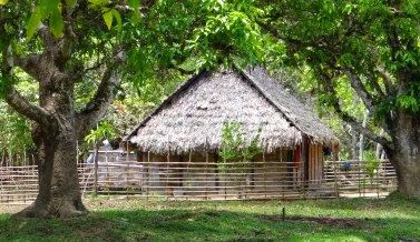 Vibrangt Baratang Baratang